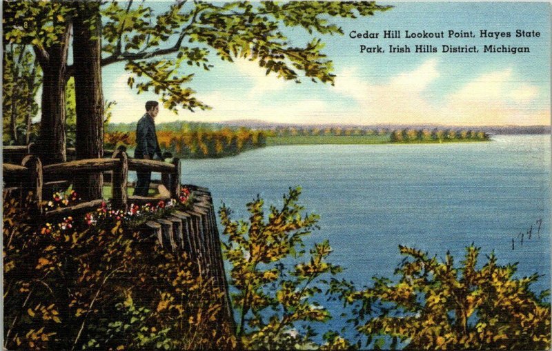 VTG Postcard Cedar Hill Lookout Hayes Park Irish Hills District 1947 Mich  112