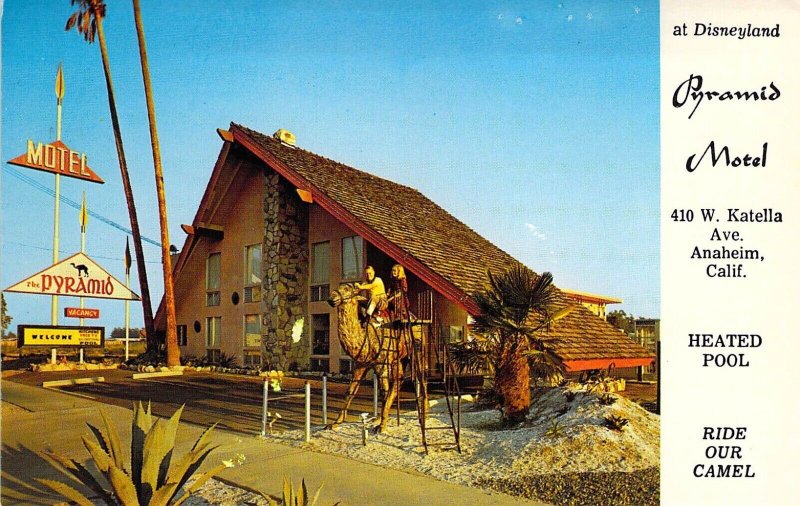 Disney Area, Anaheim, Pyramid Motel,  Camel, At Disneyland,Old Postcard