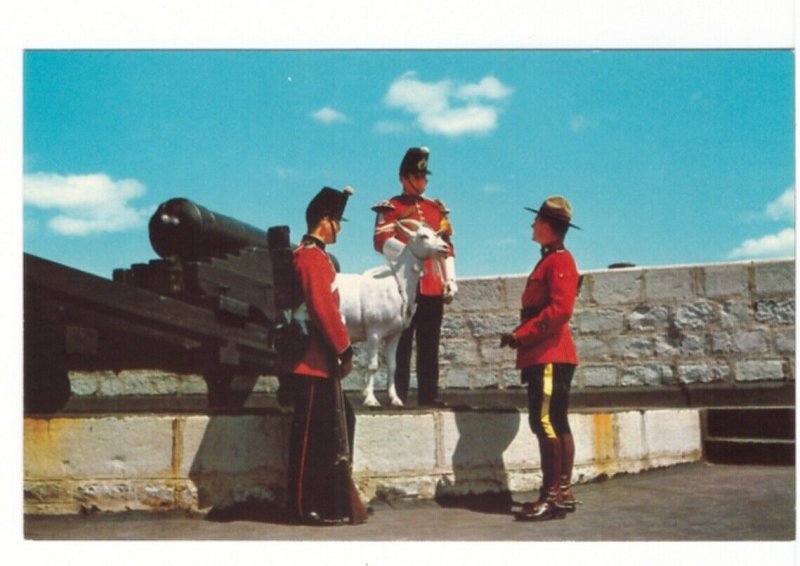 RCMP And Goat Mascot, Old Fort Henry, Kingston, Ontario, Vintage Chrome Postcard