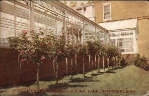 Davenport Iowa IA Fejeuary Park Crafted Tree Posts c1910 Vintage Postcard