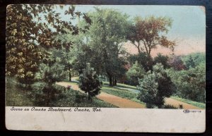 Vintage Postcard 1907 Scene on Omaha Boulevard, Omaha, Nebraska