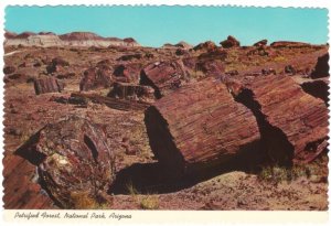 Logs In The Third Forest, Petrified Forest National Park, AZ, Chrome Postcard