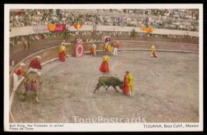 Bull Ring, the Toreador in action - Plaza de Toros