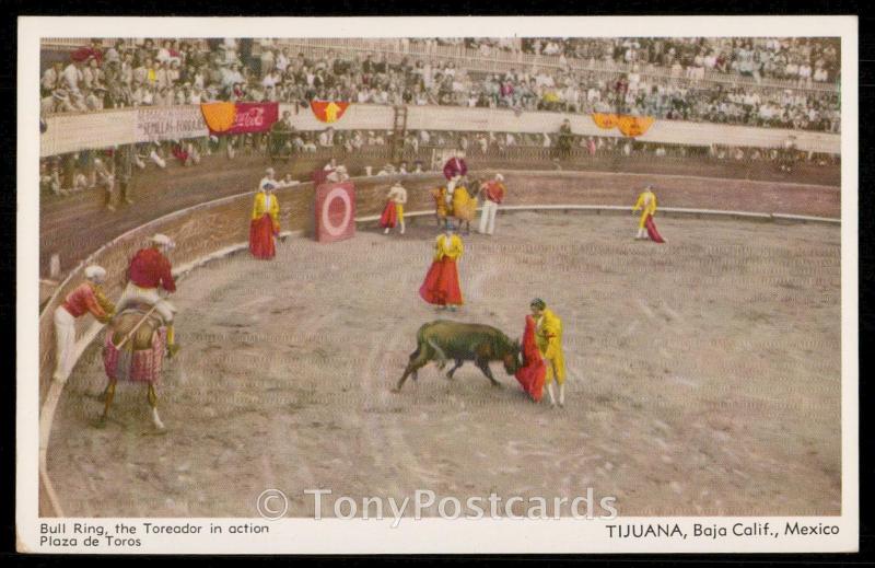 Bull Ring, the Toreador in action - Plaza de Toros