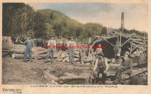 CT, Danbury, Connecticut, Sugar Hollow Road Lumber Camp, Logging Scene,Albertype