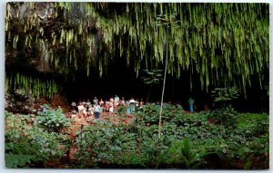 Postcard - Awe Inspiring Fern Grotto - Kauai, Hawaii