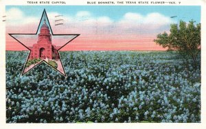 Vintage Postcard 1940 View of State Capitol Blue Bonnets Texas State Flowers TX