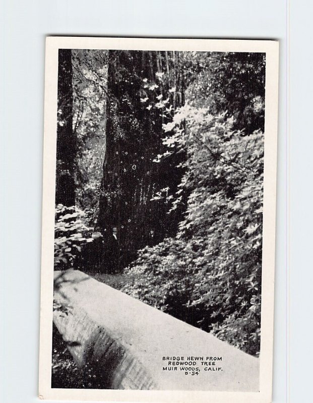 Postcard Bridge Hewn from Redwood Tree Muir Woods California USA