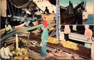 Linen Postcard People Unloading Bananas Dock Port New Orleans, Louisiana