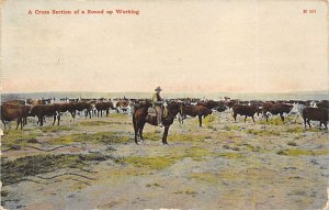 Cross Section of a Round up Working Cowboy Postal Used Unknown 