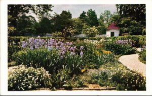 Postcard VA Mount Vernon Flower Garden