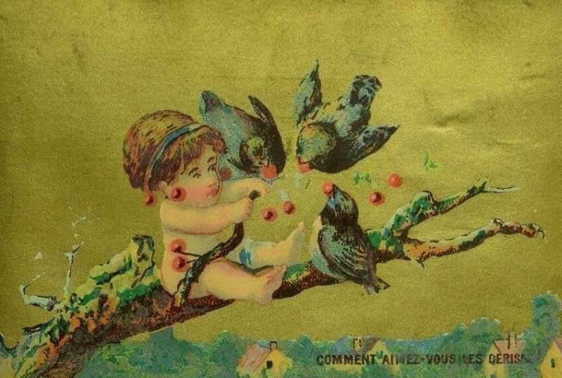 1881 Lancashire Insurance Co. Cherub Fairy Feeding Berries To Birds F59