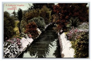 Irrigation Canal State View California CA Agriculture UNP DB Postcard D19