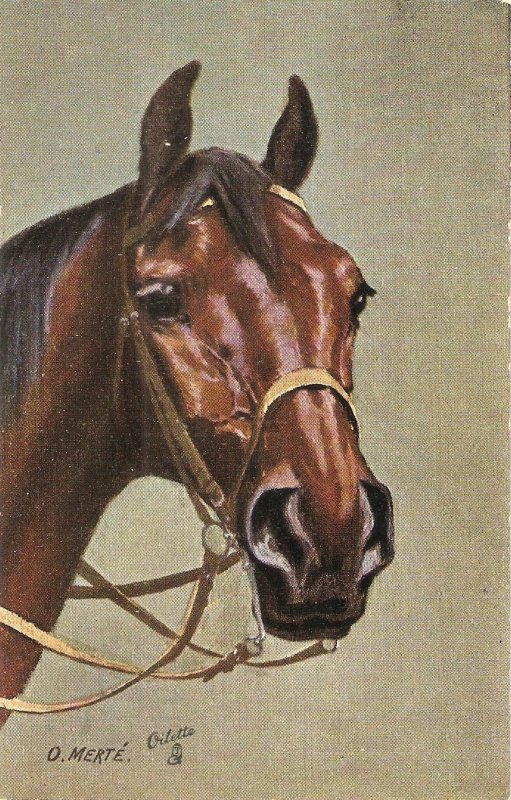 O.Merte.  Horse  Tuck Oilette Man'ps Best Friends Series PC # 9816