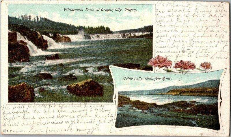 Multi View, Willamette Falls and Celilo Falls, OR UDB c1905 Vintage Postcard L33