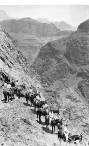 H63/ Grand Canyon National Park Arizona RPPC Postcard c1940s Mule Train 94