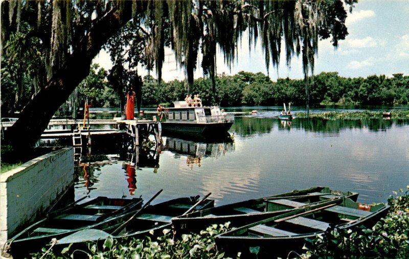 Lincoln, St. John's River, Blue Springs Park, Central Florida, Jack Postcard