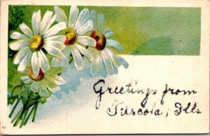 Illinois Greetings From Tuscola 1908