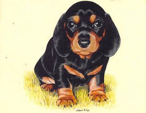 Approx. Size: 2.5 x 3 Dachshunds, (Modern 1999 Card)  Late 1800's Tradecard N...