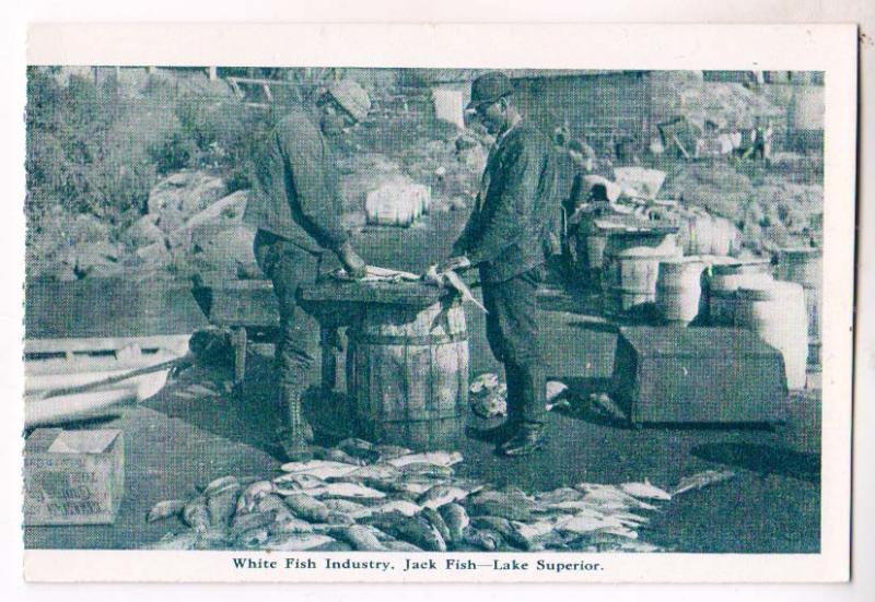 White Fish Industry, Jack Fish, Lake Superior