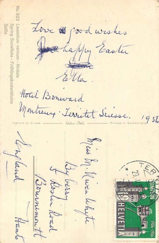 Postcard flowers snowdrop snowflake fruhlingsknotenblume