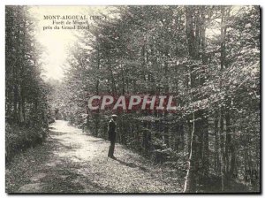 Old Postcard Aigoual Foret De Miquel near the Grand Hotel