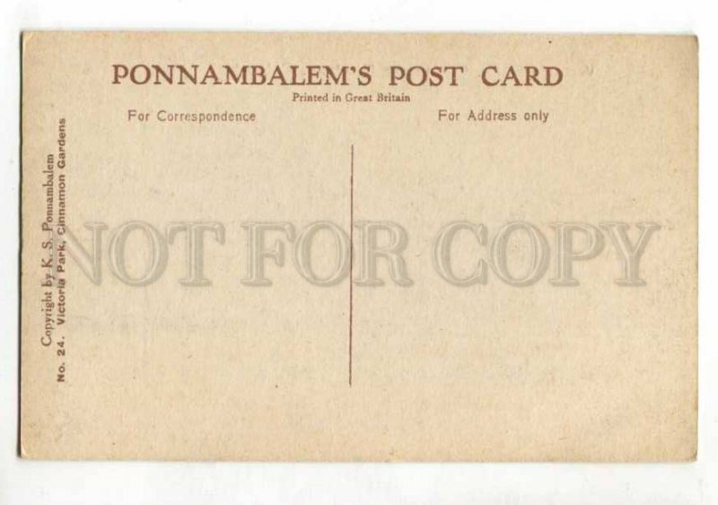 401338 CEYLON COLOMBO Victoria Park Vintage postcard