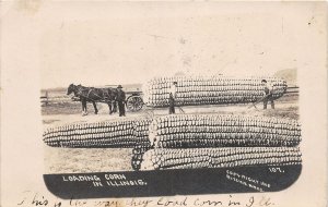 J46/ Newton Illinois RPPC Postcard c1910 Exaggeration Corn Cobs Ritchie Bros.234