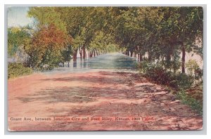 Grant Ave. Between Junction City & Fort Riley Kansas 1908 Flood Postcard