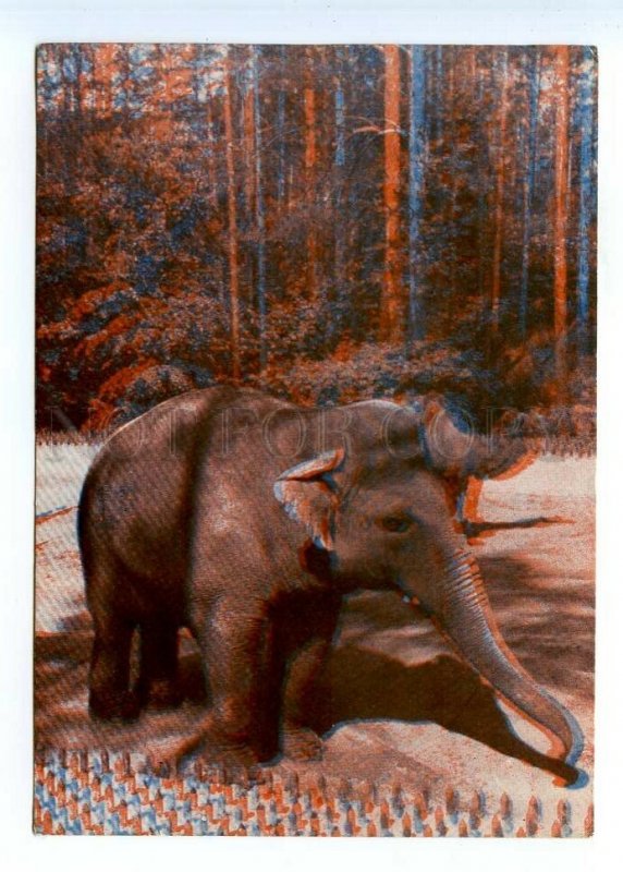 498600 USSR 1967 Latvia Riga Zoo elephant Rangoon camel Amara stereo volumetric