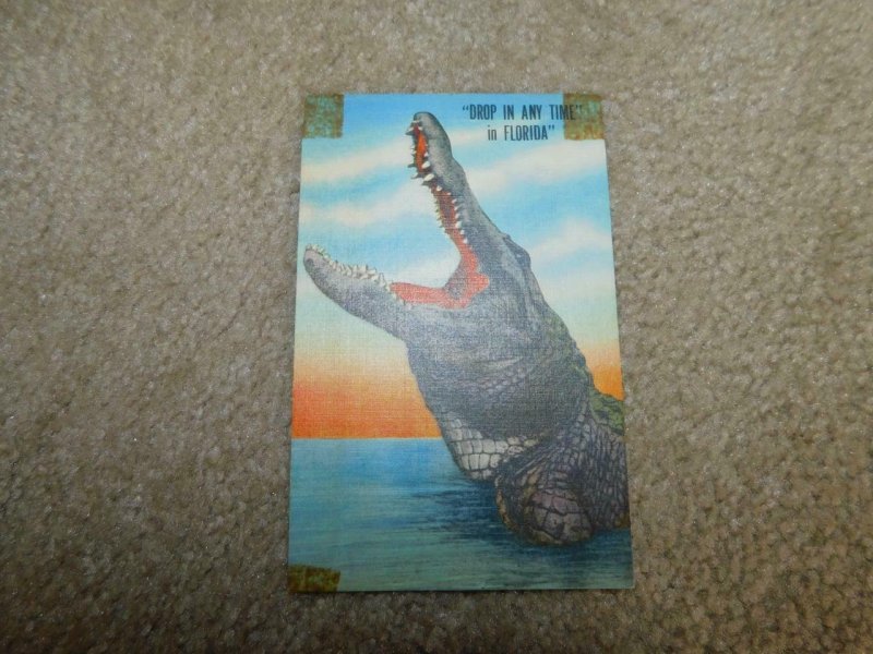 ALIGATOR- DROP IN ANYTIME IN FLORIDA, UNUSED VINTAGE CARD