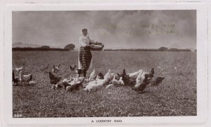 A Country Maid Lady Farmer Old Farming Bird Seeds Real Photo Postcard