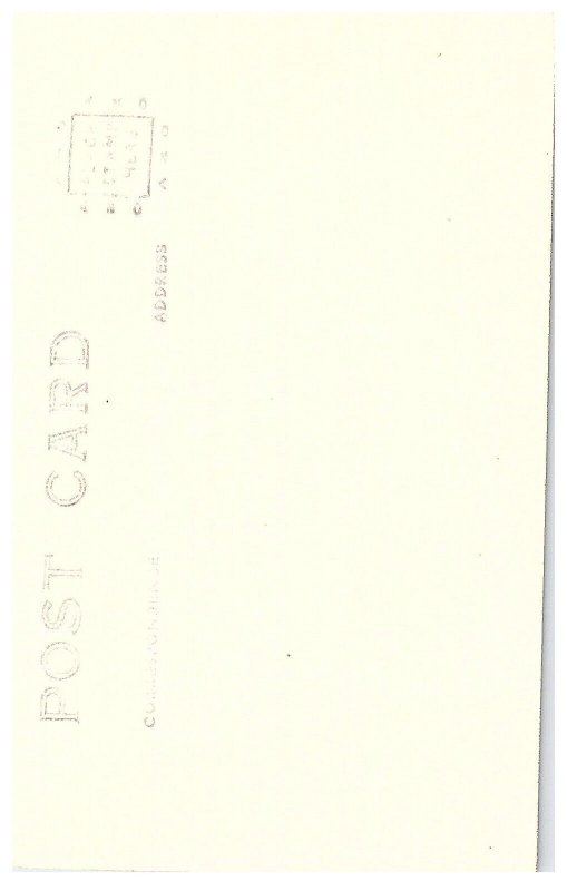 Bridge at Pacific Hwy Umpqua River Douglas Co Oregon RPPC Postcard