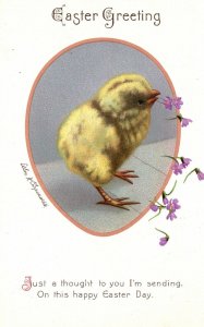 Vintage Postcard 1910's Chick Just Thought To You I'm Sending Easter Greetings