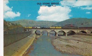 The Old Stone Bridge Johnstown Pennsylvania