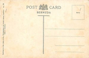 South Shore Bermuda Postcard