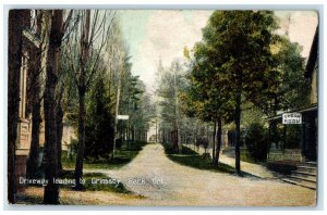 1908 Driveway Leading to Grimsby Park Ontario Canada Antique Posted Postcard