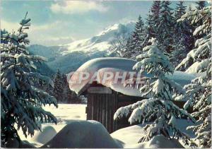 Modern Postcard the foot peaks