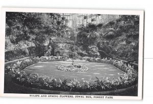 St Louis Missouri MO Vintage Postcard Forest Park Floral Display Tulips Spring