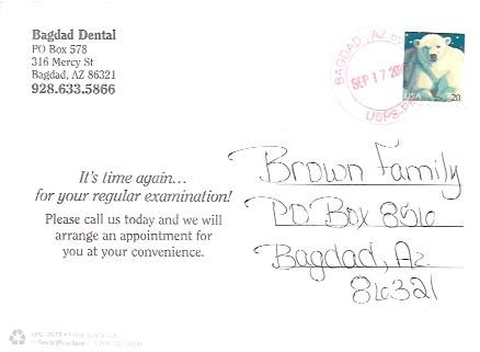 US Used Postcard #4387  Wildlife - Polar Bear. Time for a  Dental Exam