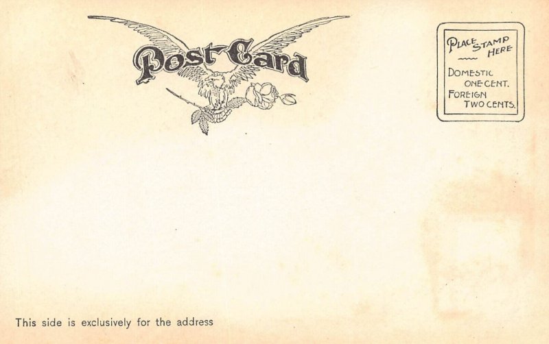 LPD14  SAN DIEGO California Mission Postcard