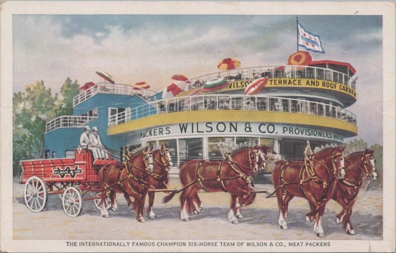 Postcard Wilson & Co Six Horse Champion Clydesdale Team Horses Century Progress