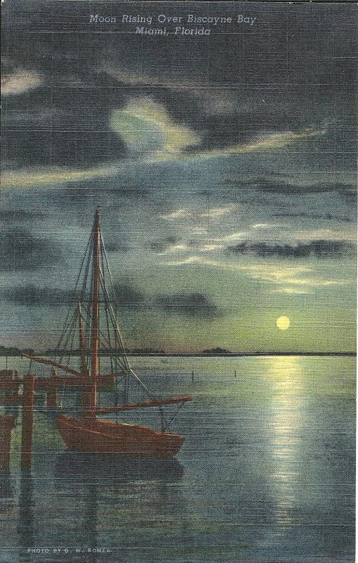 Moon Rising Over Biscayne Bay Florida Postcard Vintage Linen Uncirculated