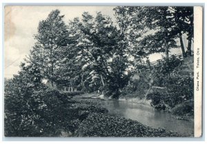 c1910 Ottawa Park Trees River Lake Exterior Toledo Ohio Vintage Antique Postcard