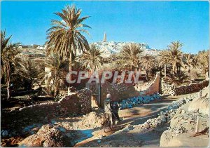 'Modern Postcard Ghardaia M''Zab'