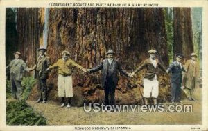Redwood Highway - California CA  