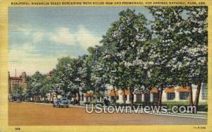 Magnolia Trees, Bath House Row - Hot Springs National Park, Arkansas AR