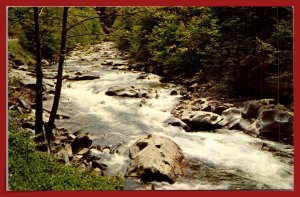 Tennessee - Little River - [TN-194]