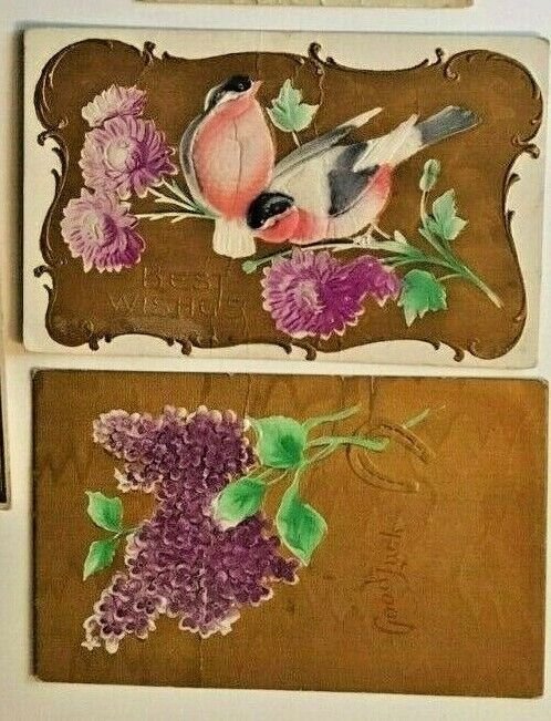 (5) Postcards Vintage Greeting Cards, Flowers,Birds & Nature.     S8
