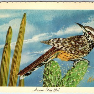 1967 AZ Arizona State Bird Cactus Wren Desert Scene Ken Haag Painting Art A334